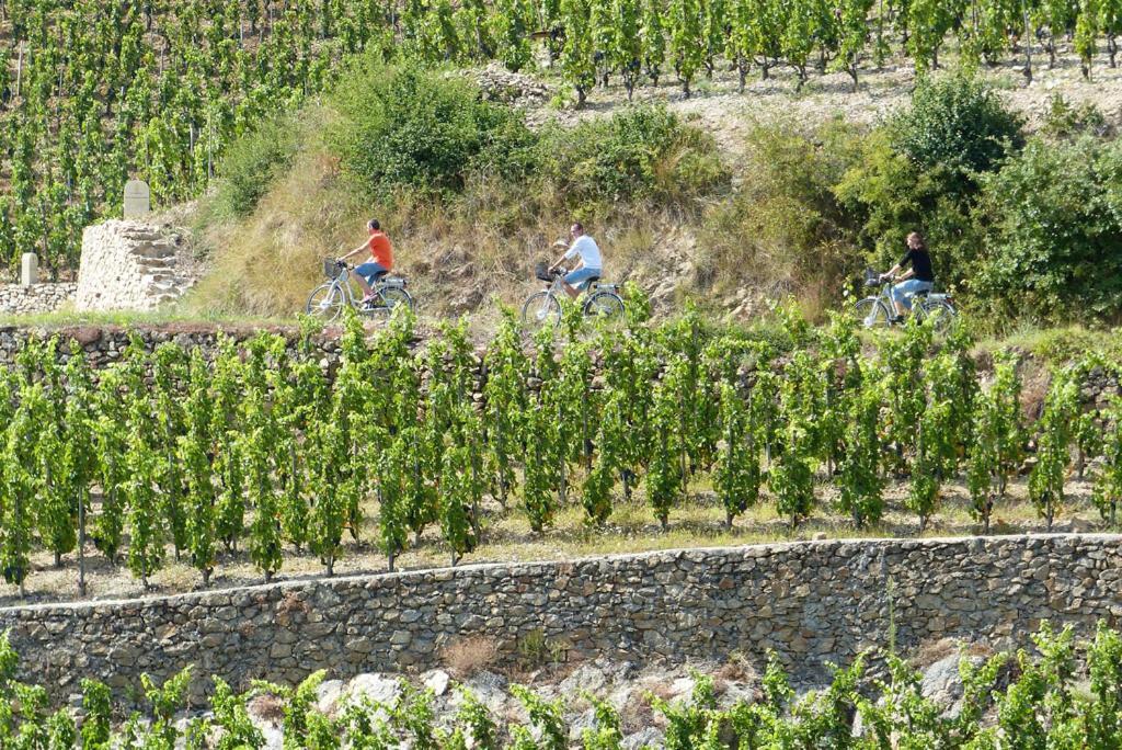 Gite Abricotier Crozes-Hermitage Exteriör bild