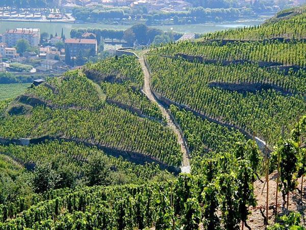 Gite Abricotier Crozes-Hermitage Exteriör bild